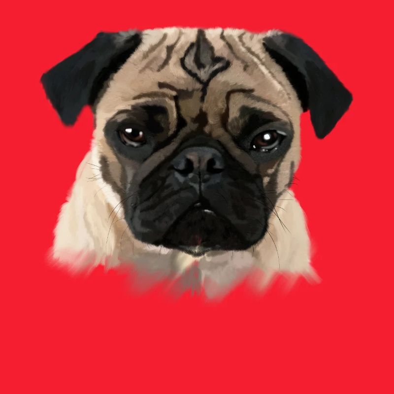 Mops