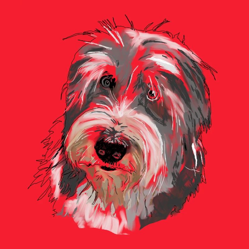 Bearded Collie