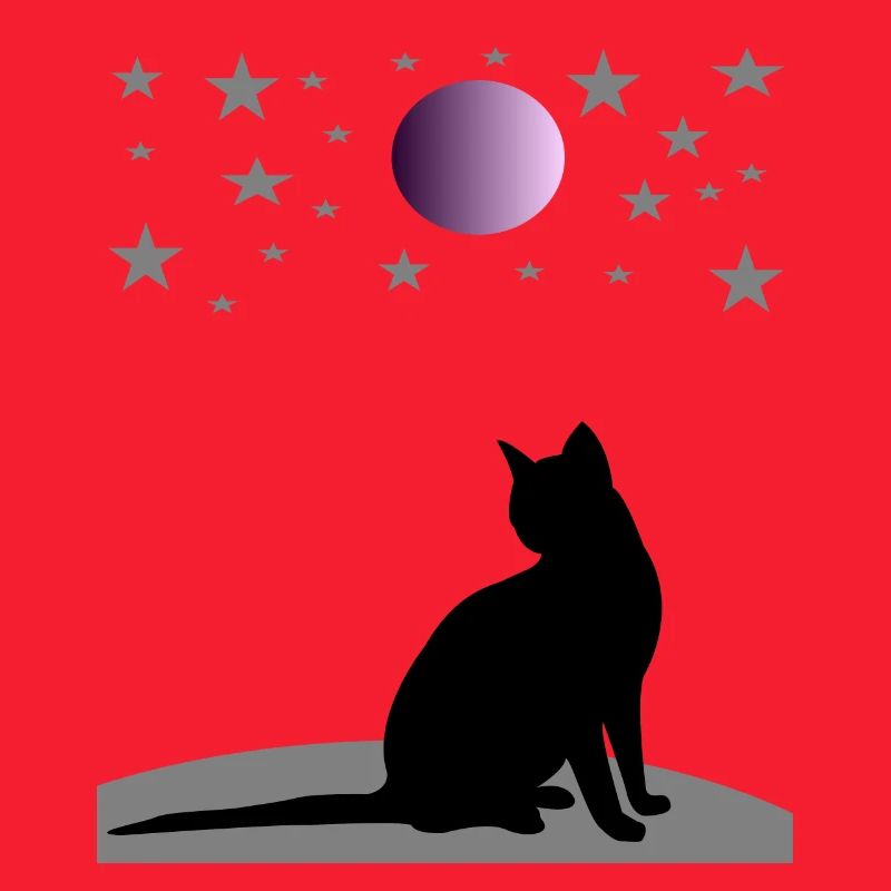 Starry sky with moon and cat