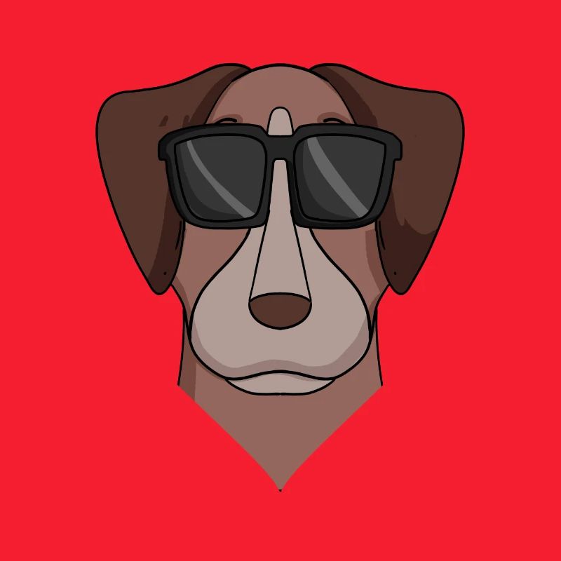 Pointer Hund Hunderasse