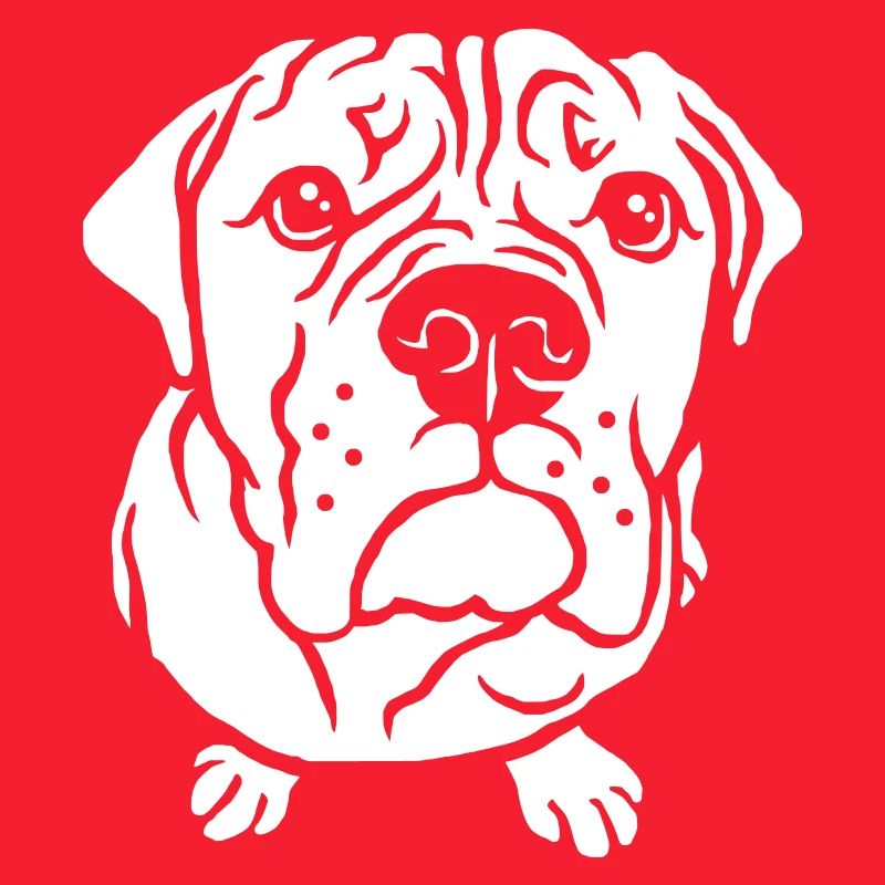 Bulldog bettelnd