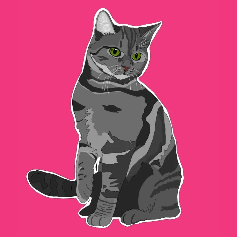 Chat gris