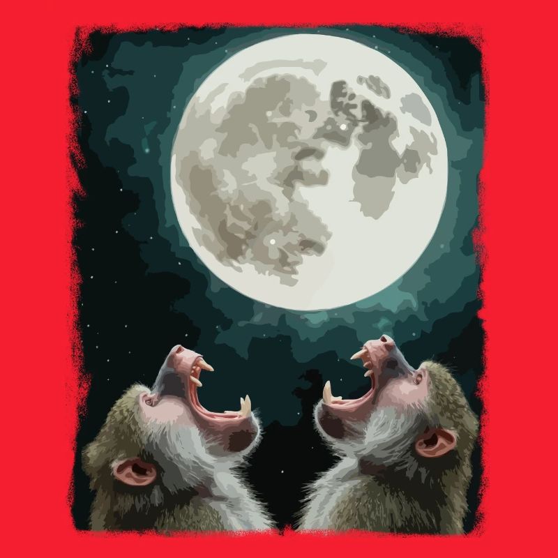 Moon and baboon night sky