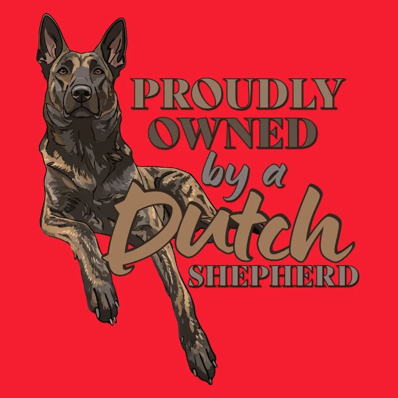 Dutch Shepherd - Dutchie 