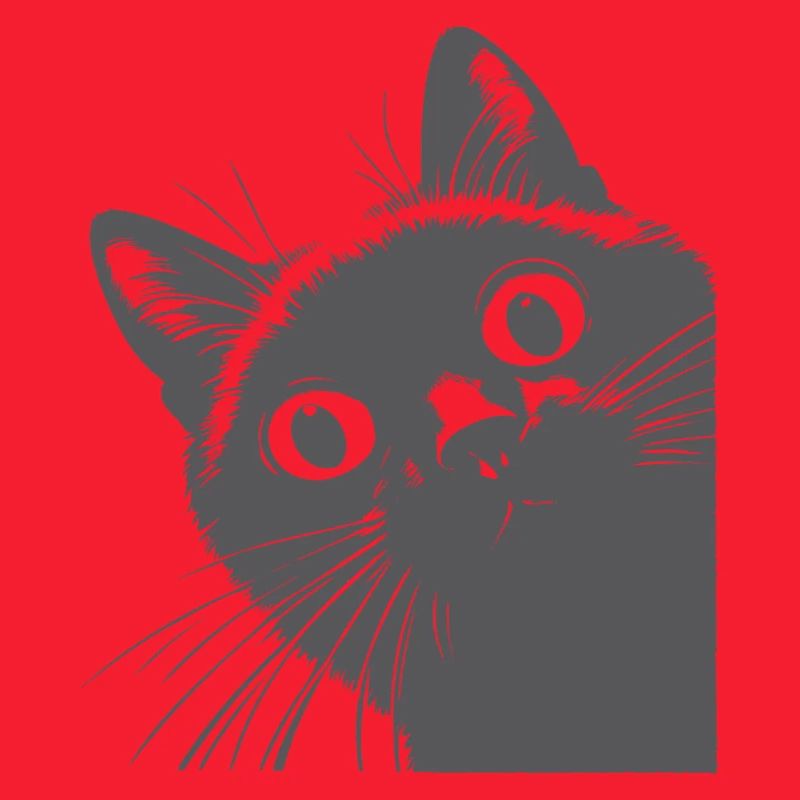 schwarze Katze