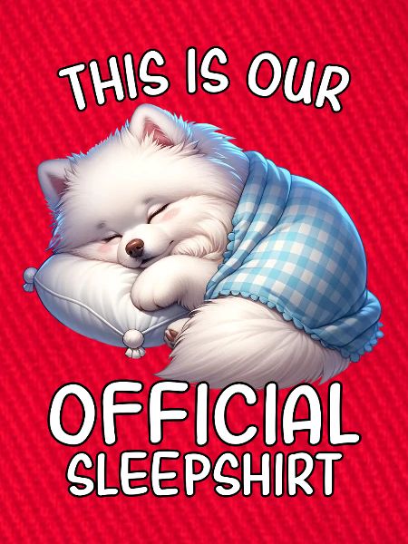 Lustiges Spitz Schlafshirt
