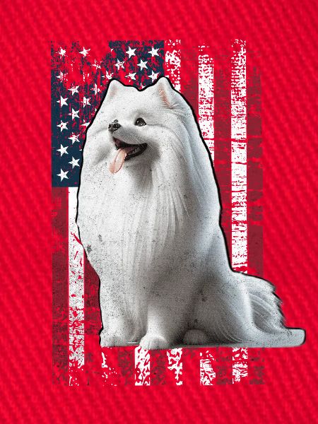 German Spitz US Spitz Zwergspitz