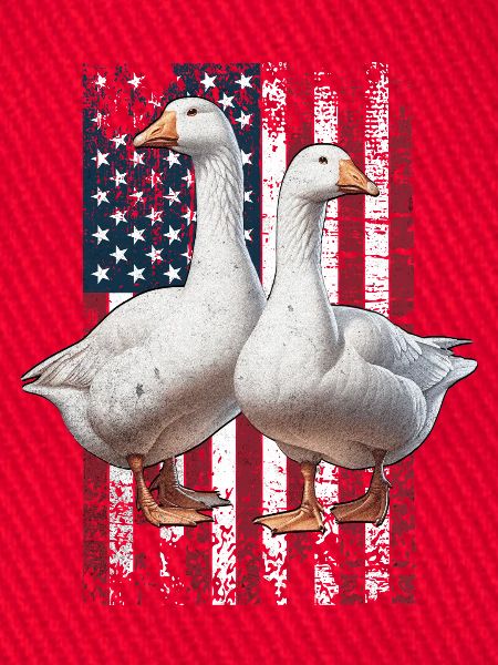 Goose US Gans