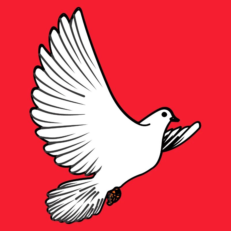 Weiße Taubenbrieftaube Ziertaube oder Friedenstaube