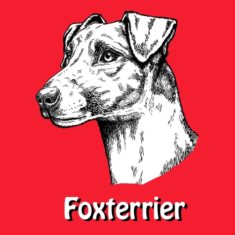 Foxterrier Glatthaar Portrait
