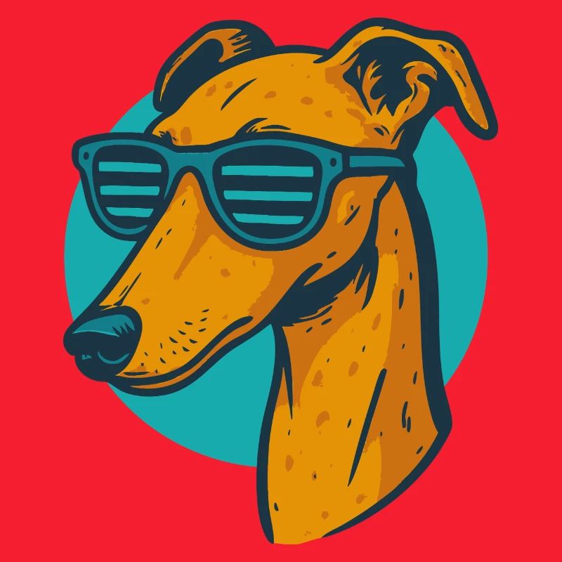 Windhund, Galgo