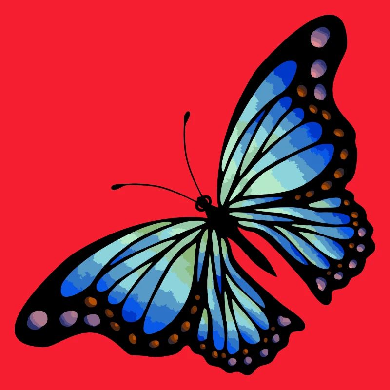 Schmetterling