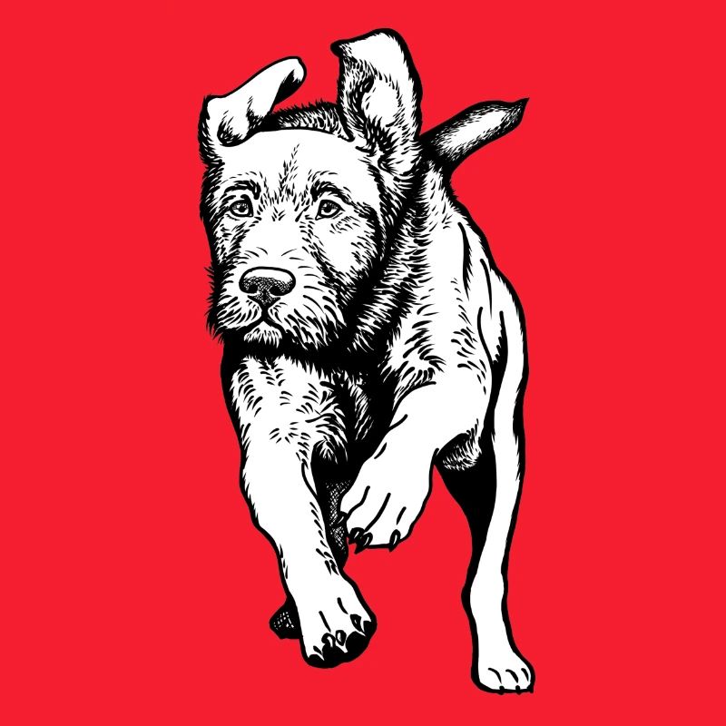 Jagdhunde-Aktion
