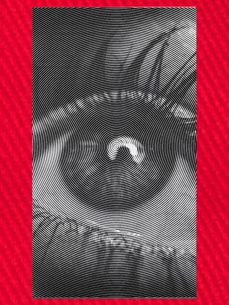 Spiralauge: Hypnotischer Blick