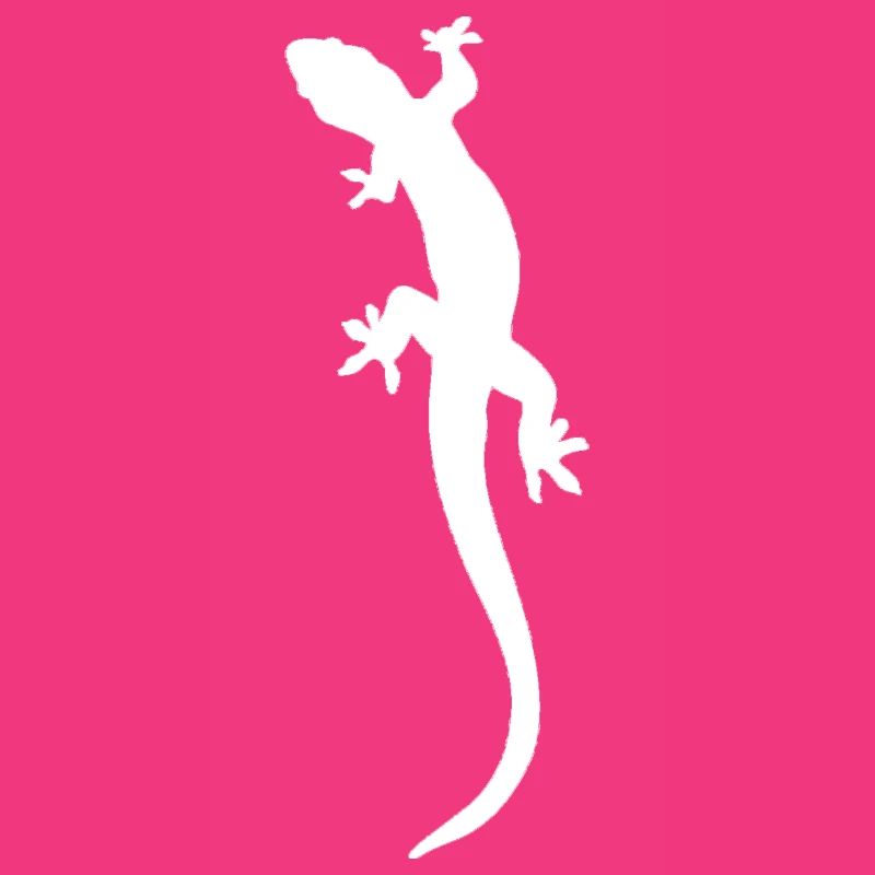 Lizard Illustration Gecko