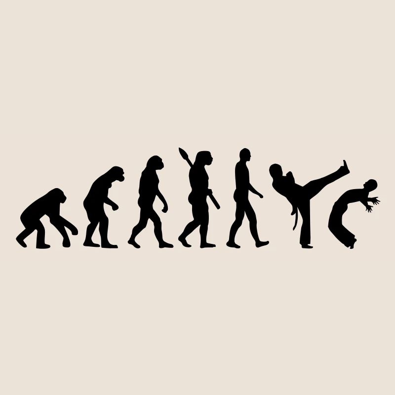 Évolution Capoeira
