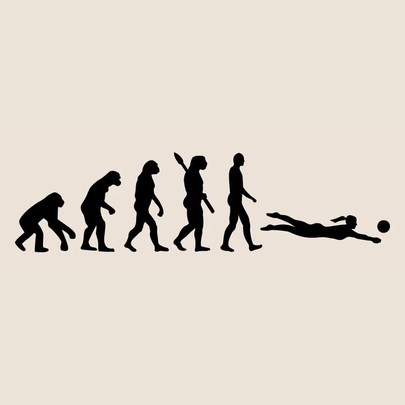 Évolution Beach volley