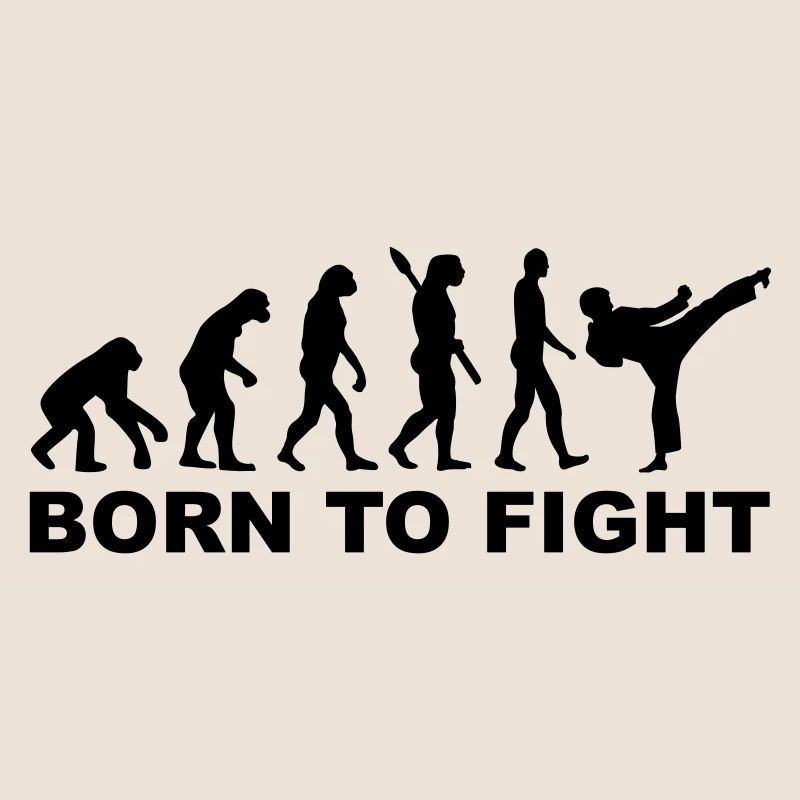 Evolution Karate