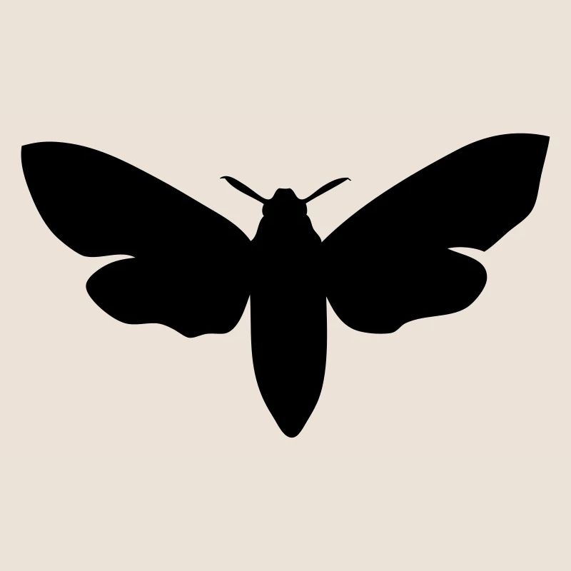 moth
