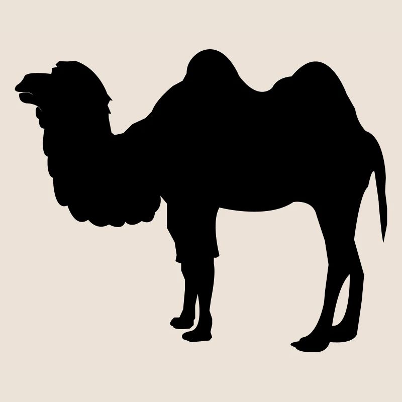 kamel