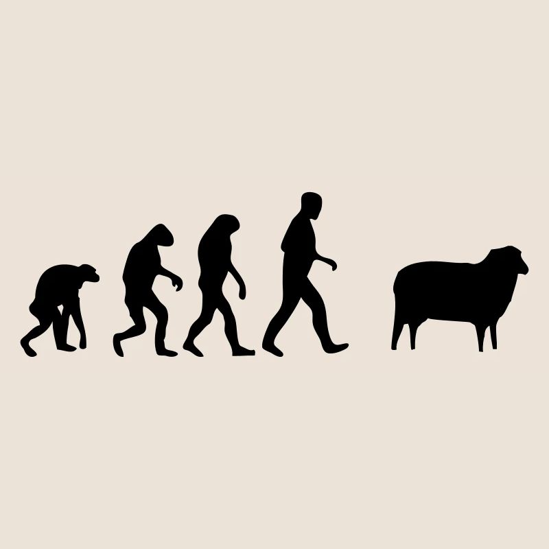 mouton evolution