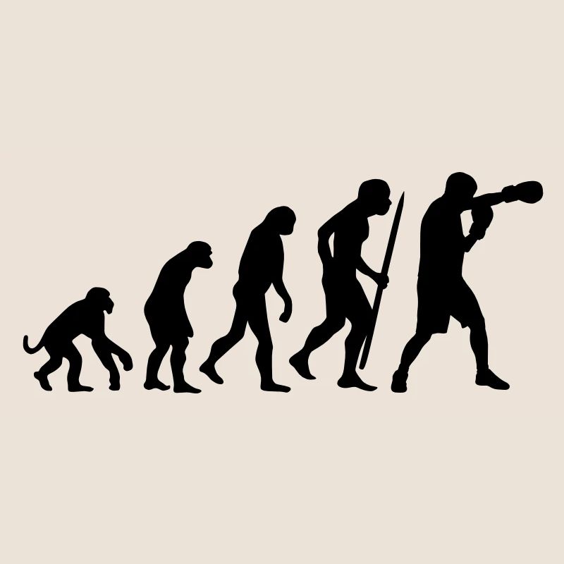 Evolution de la boxe