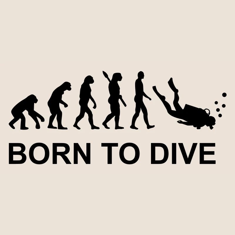 Evolution Tauchen