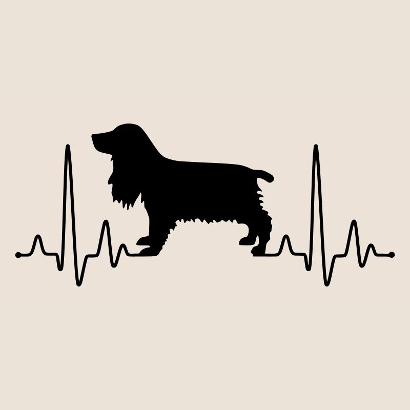 Cocker Spaniel Plus