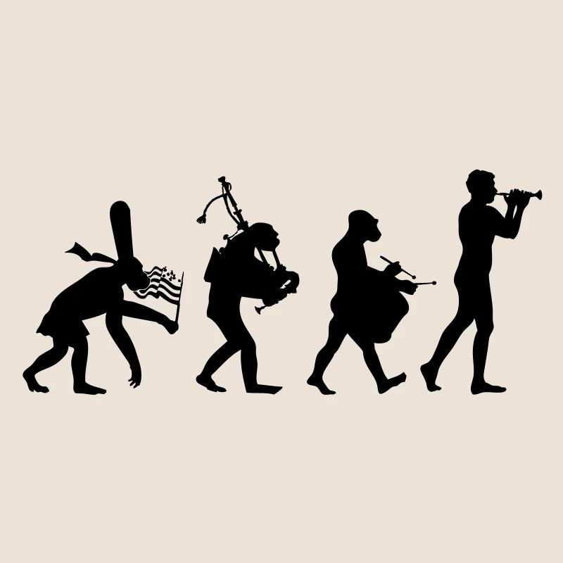 évolution bombarde 2 bagad