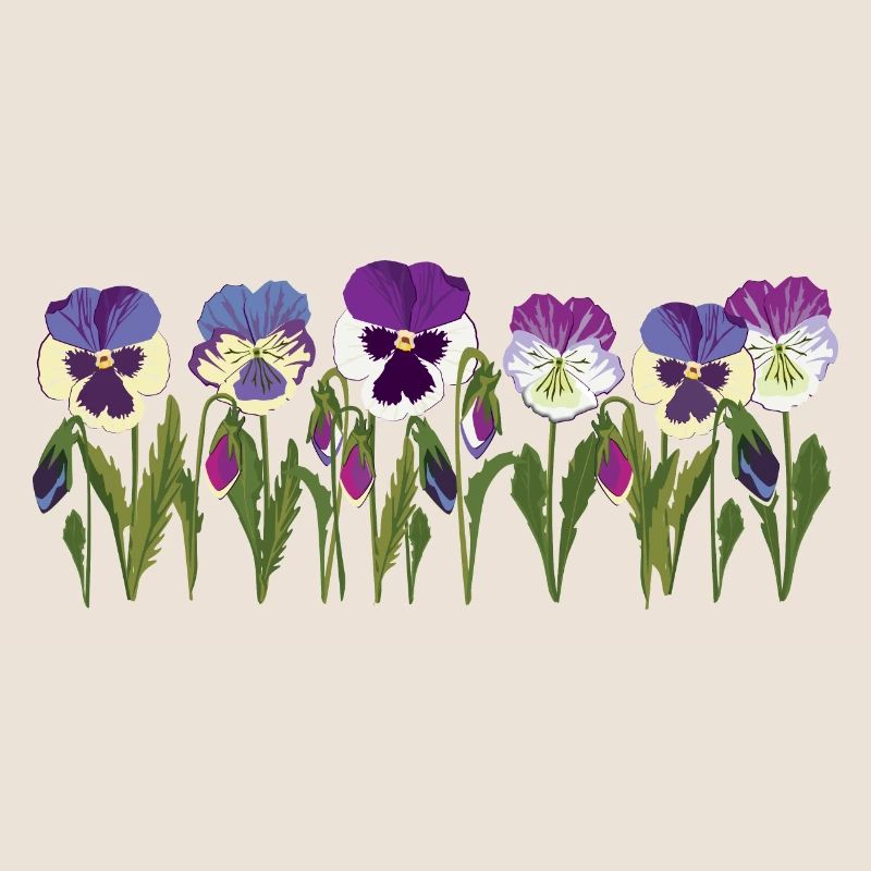 Rangée de fleurs de pensée en violet