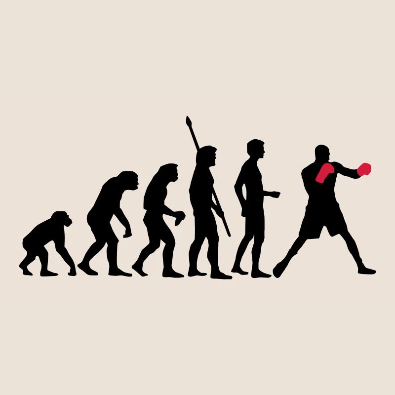 evolution_boxen_b_2c