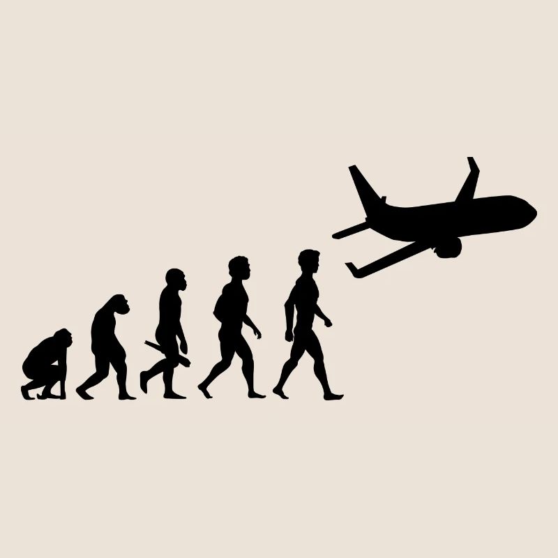 plane fliers fly evolution pilots cockpit