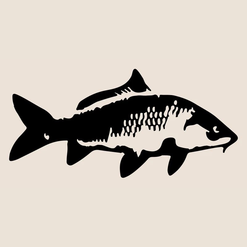 carp fish