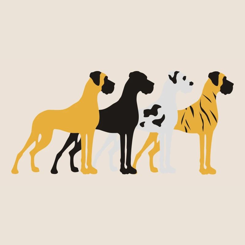 Four basic colors Great Dane