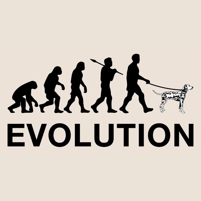 Evolution
