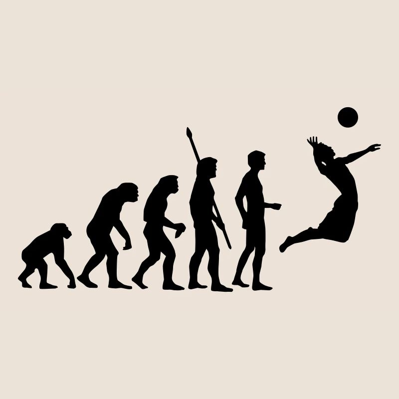 evolution_volleyball_1c