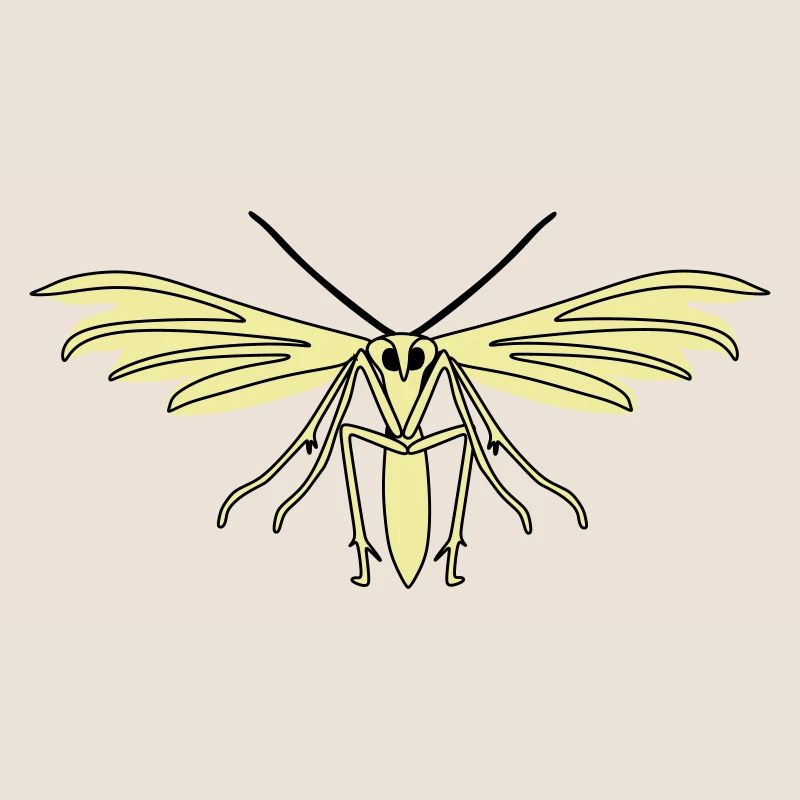 Feather moth