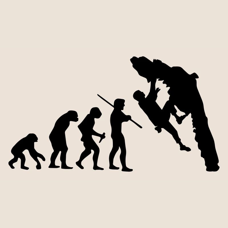Boulder Evolution