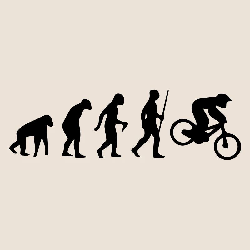 MOTORCROSS EVOLUTION