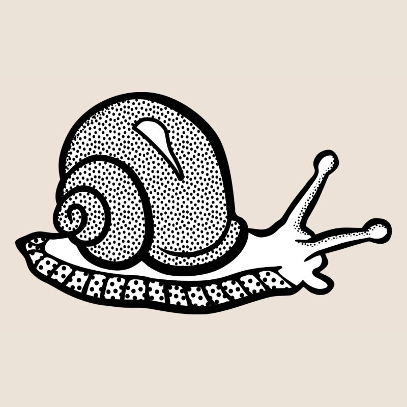Snail noir et withe
