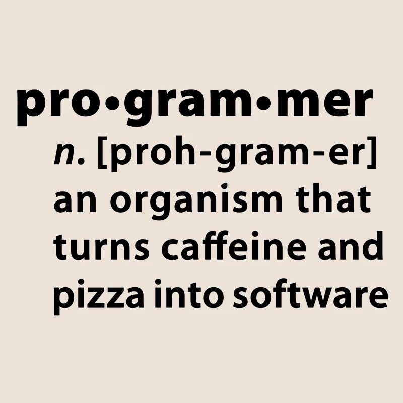 Programmer Wörterbuchdefinition