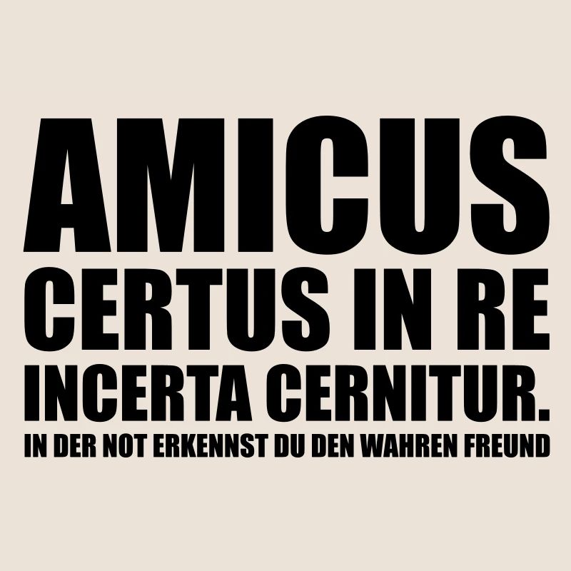 Amicus Certus In Re Incerta Cernitur In