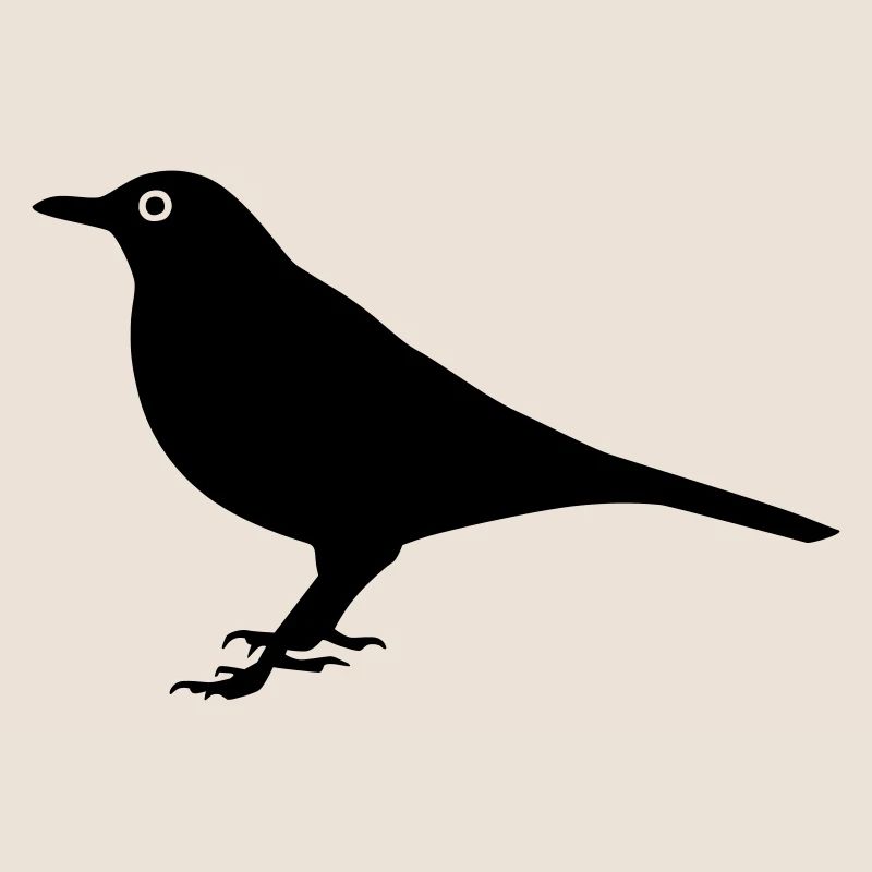Vogel Amsel