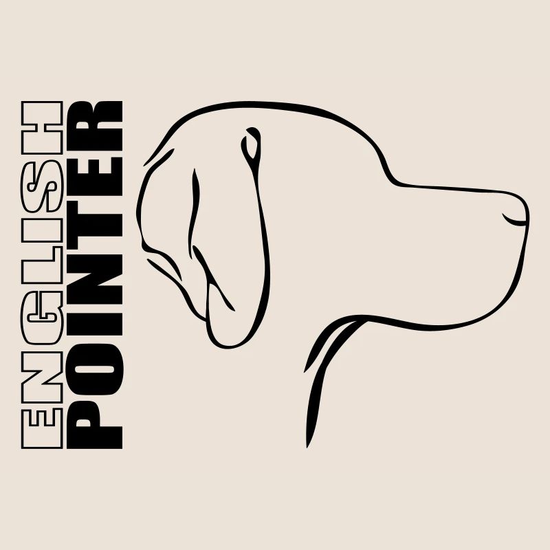 ENGLISH POINTER PROFIL