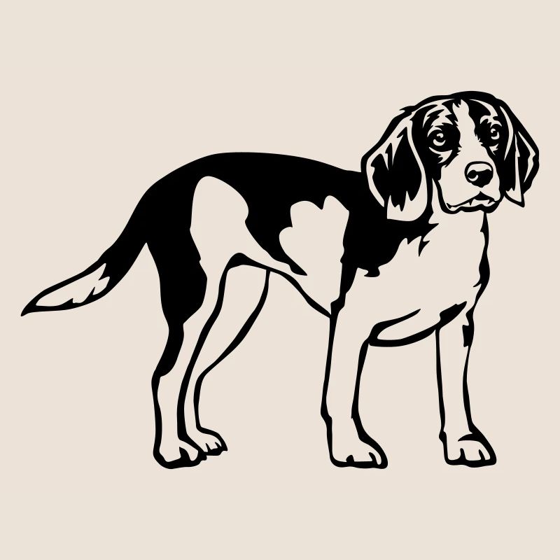 Beagle
