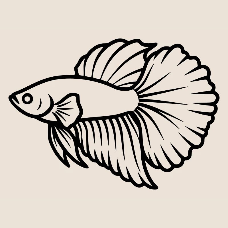 Kampffisch Betta Splendens Aquarium