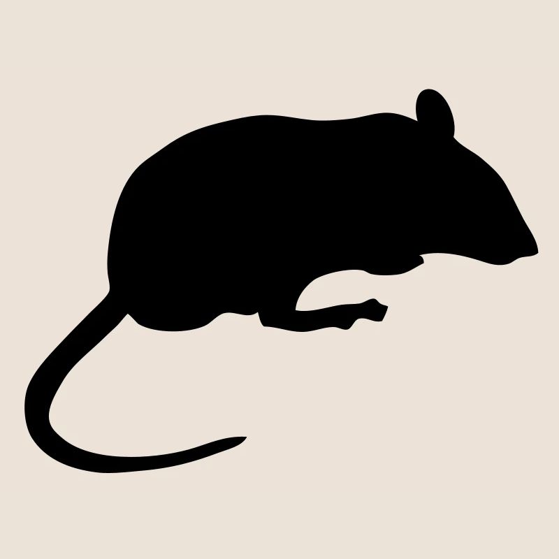 souris mouse silhouette ombre shadow8