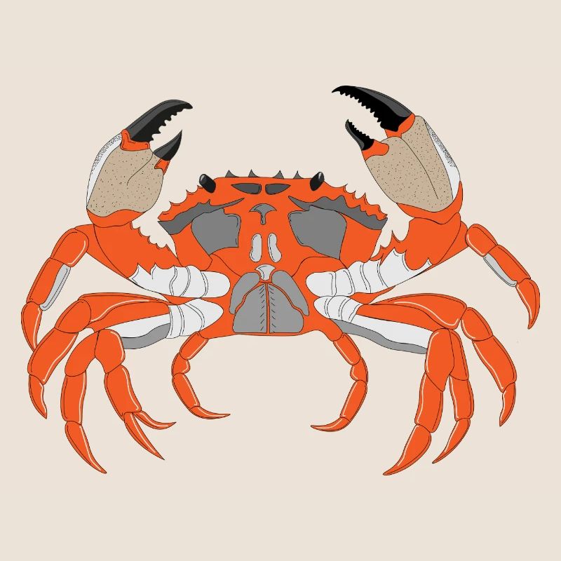 Crab Print