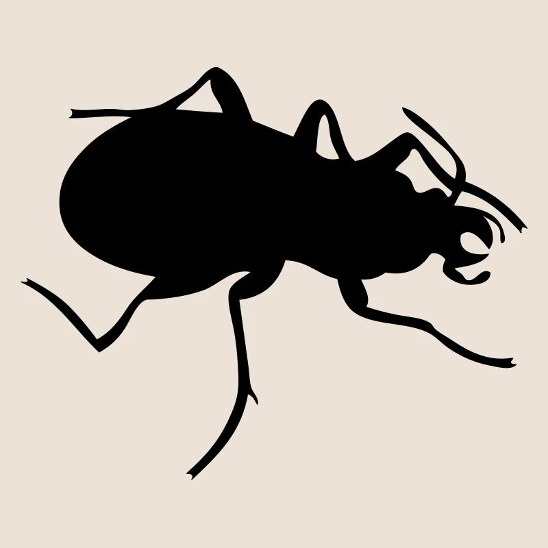 Bug