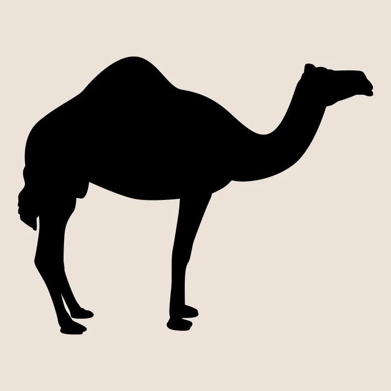Kamel | Wüste | Dubai | Wüstenschiff